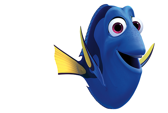 Dory