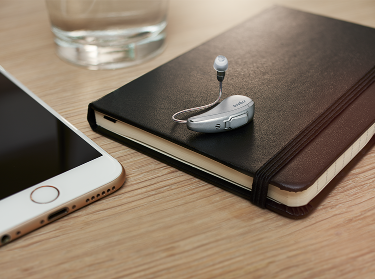 Hearing aid and notepad