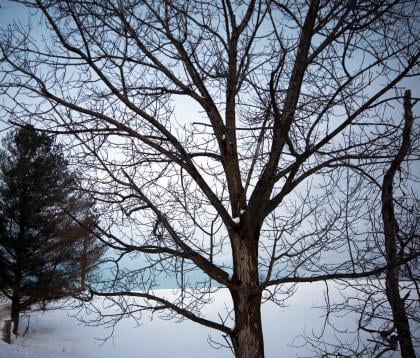 Winter landscape Winter landscape